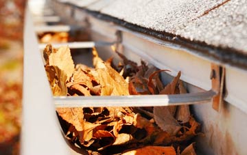 Birch Green gutter cleaning companies